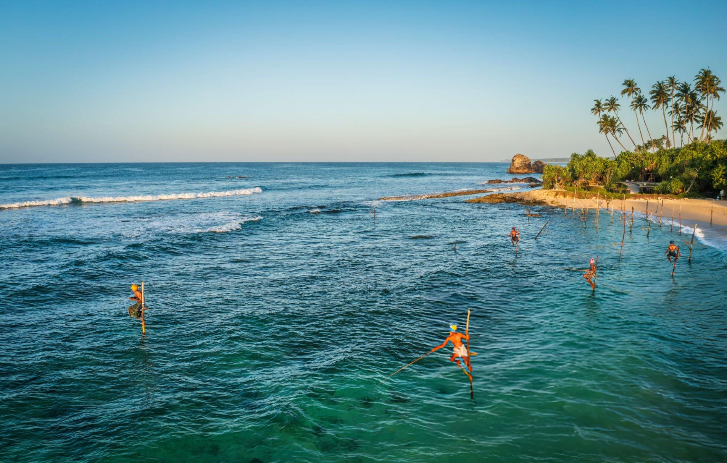 Wildlife in Sri Lanka